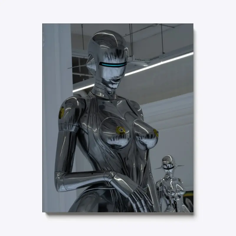 Sexy Robot Canvas for your elegant house